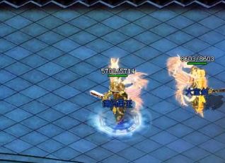 1.76版本传奇sf道士依仗的输出技能