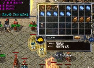 传奇私服蛮勇印使用效果是什么