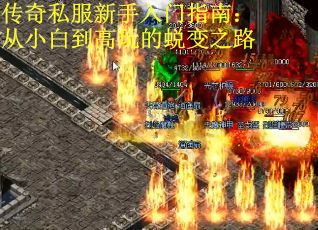 传奇私服新手入门指南：从小白到高玩的蜕变之路