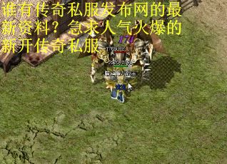 谁有传奇私服发布网的最新资料？急求人气火爆的新开传奇私服
