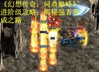 《幻想传奇：问鼎巅峰》进阶级攻略：揭秘强者养成之路