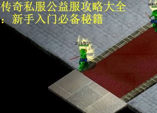 传奇私服公益服攻略大全：新手入门必备秘籍