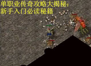 单职业传奇攻略大揭秘：新手入门必读秘籍