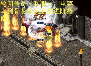 轮回传奇（私服）：从菜鸟到骨灰级玩家的进阶指南