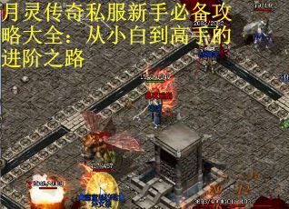 月灵传奇私服新手必备攻略大全：从小白到高手的进阶之路