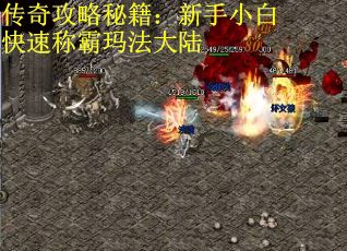 传奇攻略秘籍：新手小白快速称霸玛法大陆