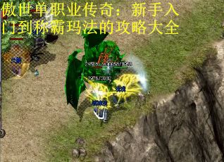 傲世单职业传奇：新手入门到称霸玛法的攻略大全