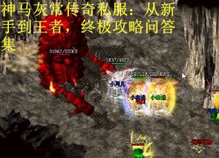 神马灰常传奇私服：从新手到王者，终极攻略问答集