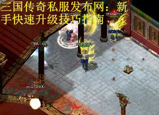 三国传奇私服发布网：新手快速升级技巧指南