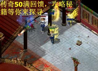 传奇50满回馈，攻略秘籍等你来探寻