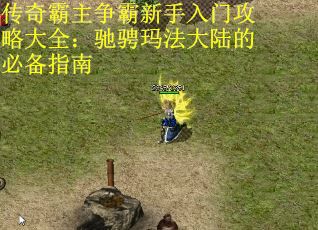 传奇霸主争霸新手入门攻略大全：驰骋玛法大陆的必备指南