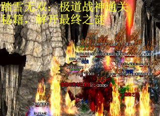 踏雪无双：极道战神通关秘籍，解开最终之谜