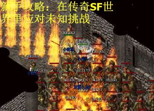 新手攻略：在传奇SF世界里应对未知挑战