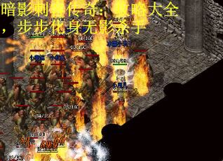 暗影刺客传奇：攻略大全，步步化身无影杀手