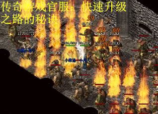 传奇游戏官服：快速升级之路的秘诀