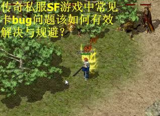 传奇私服SF游戏中常见卡bug问题该如何有效解决与规避？