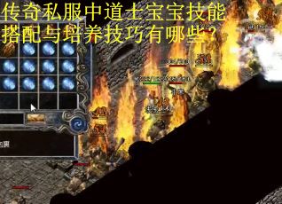 传奇私服中道士宝宝技能搭配与培养技巧有哪些？