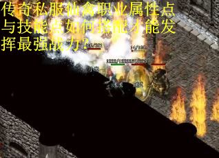 传奇私服仙禽职业属性点与技能点如何搭配才能发挥最强战力？