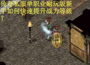 传奇私服单职业耐玩版新手如何快速提升战力等级？