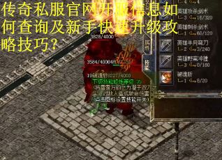传奇私服官网开服信息如何查询及新手快速升级攻略技巧？