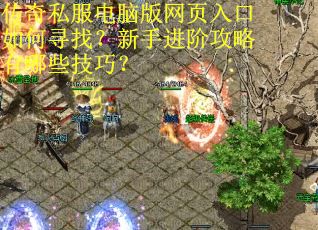 传奇私服电脑版网页入口如何寻找？新手进阶攻略有哪些技巧？
