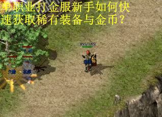 单职业打金服新手如何快速获取稀有装备与金币? 单职业打金服新手如何快速获取稀有装备与金币?