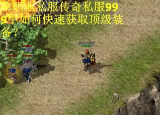 单职业私服传奇私服999中如何快速获取顶级装备? 单职业私服传奇私服999中如何快速获取顶级装备?