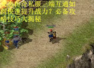 变态传奇私服三端互通如何快速提升战力?必备攻略技巧大揭秘 变态传奇私服三端互通如何快速提升战力?必备攻略技巧大揭秘