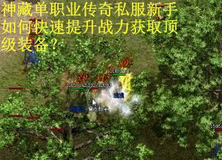 神藏单职业传奇私服新手如何快速提升战力获取顶级装备? 神藏单职业传奇私服新手如何快速提升战力获取顶级装备?
