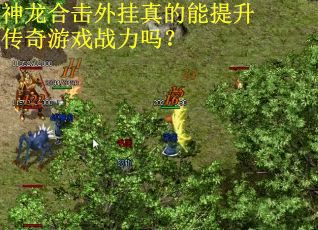 神龙合击外挂真的能提升传奇游戏战力吗? 神龙合击外挂真的能提升传奇游戏战力吗?