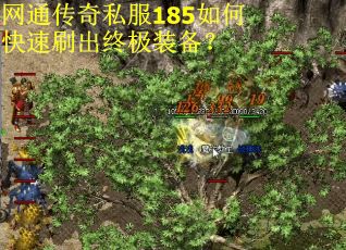 网通传奇私服185如何快速刷出终极装备? 网通传奇私服185如何快速刷出终极装备?