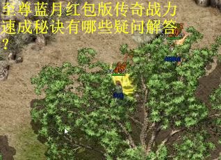 至尊蓝月红包版传奇战力速成秘诀有哪些疑问解答? 至尊蓝月红包版传奇战力速成秘诀有哪些疑问解答?