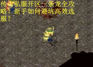传奇私服开区一条龙全攻略？新手如何避坑高效选服？