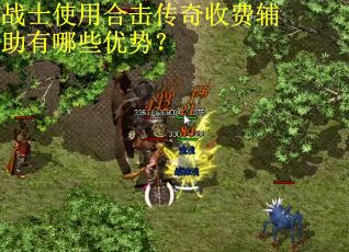 战士使用合击传奇收费辅助有哪些优势？