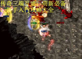 传奇三端互通：萌新必备，新手入门攻略大全