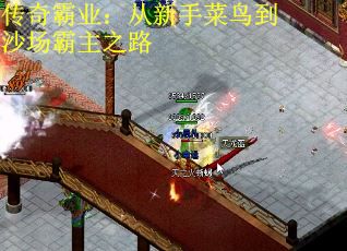 传奇霸业：从新手菜鸟到沙场霸主之路