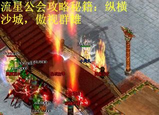 流星公会攻略秘籍：纵横沙城，傲视群雄