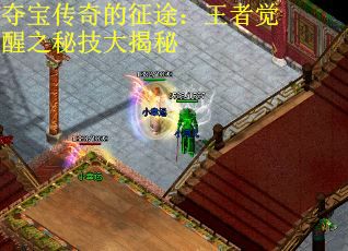 夺宝传奇的征途：王者觉醒之秘技大揭秘