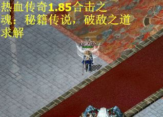 热血传奇1.85合击之魂：秘籍传说，破敌之道求解
