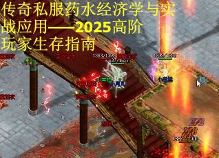 传奇私服药水经济学与实战应用——2025高阶玩家生存指南