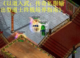 《以道入武：传奇私服输出型道士终极培养指南》