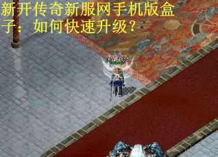 新开传奇新服网手机版盒子：如何快速升级？