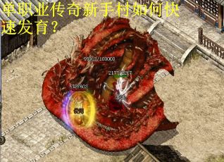 单职业传奇新手村如何快速发育？