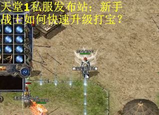 天堂1私服发布站：新手战士如何快速升级打宝？