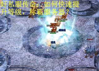 好私服传奇：如何快速提升等级，称霸服务器？