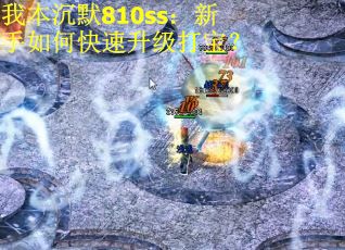 我本沉默810ss：新手如何快速升级打宝？