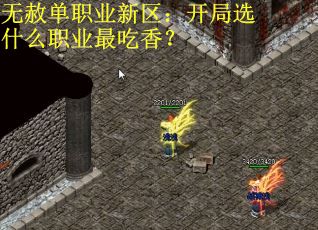 无赦单职业新区：开局选什么职业最吃香？