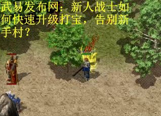 武易发布网：新人战士如何快速升级打宝，告别新手村？