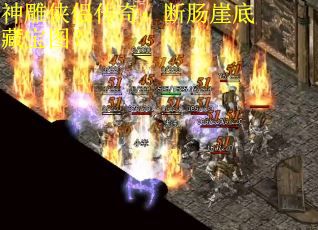神雕侠侣传奇：断肠崖底藏宝图？