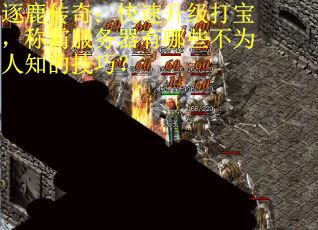 逐鹿传奇：快速升级打宝，称霸服务器有哪些不为人知的技巧？